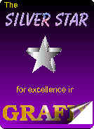 The Silver Star for Excellence in Grafix